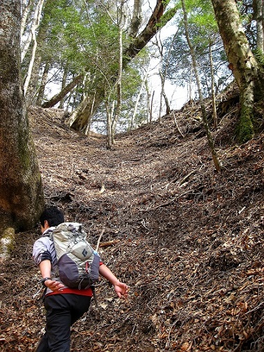 尾根に乗るトラバース