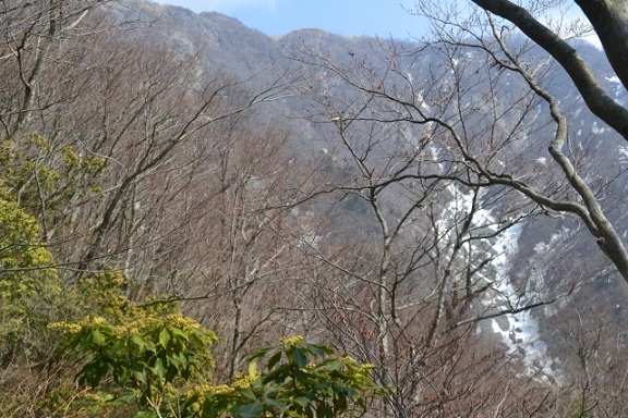鬼ヶ岩から不動ノ峰の稜線丹沢主脈縦走路