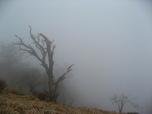 蛭ヶ岳南陵荒れ模様