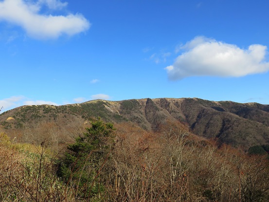 目指す明神ヶ岳優しい山容