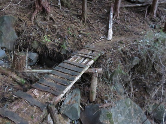 和留沢コース痩せ尾根