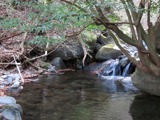 奥和留沢みはらしコース水が豊富な山域