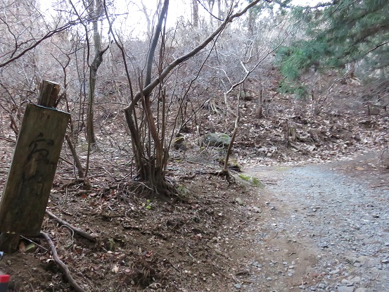 寂悄荘滝子山の寂ショウ尾根へのルート入口