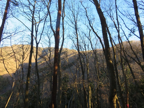 これから歩く滝子山寂ショウ尾根全景
