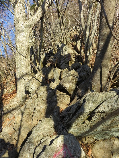 寂ショウ尾根のゴツゴツ地帯