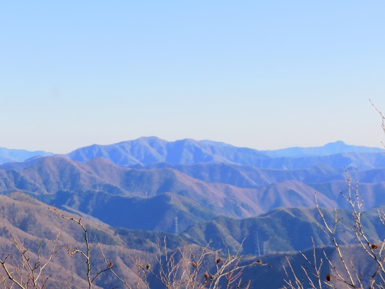 陣馬山や笹尾根