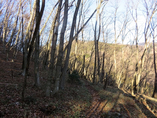 赤杭尾根登山道落ち葉の様子