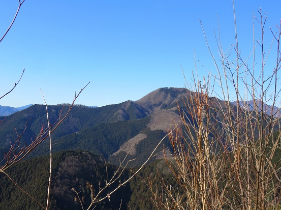 赤杭尾根から鷹ノ巣山方面の景色