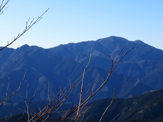 奥多摩の景色と枝の写真