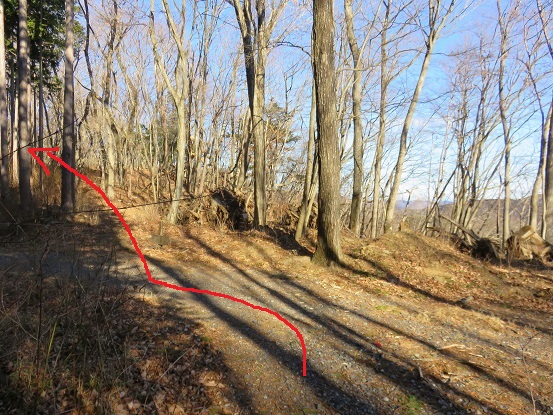 エビ小屋山へ進んでいくと林道と合流する場所