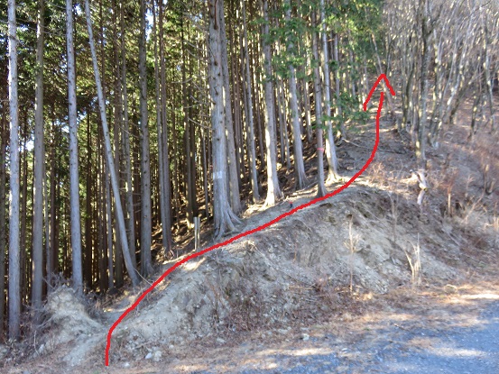 林道からエビ小屋山への直登入口周辺