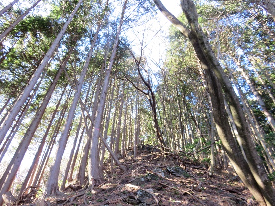 エビ小屋山への急登