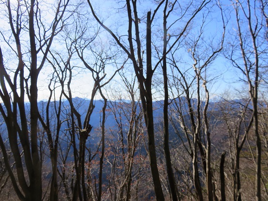 エビ小屋山の山頂からの景色