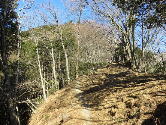 エビ小屋山の山頂から赤杭尾根の登山道合流