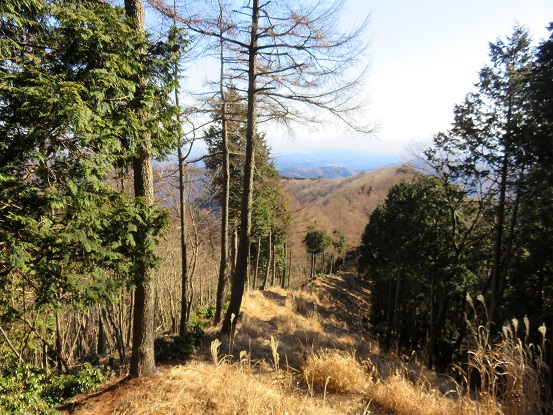 振り返って赤杭尾根・エビ小屋山