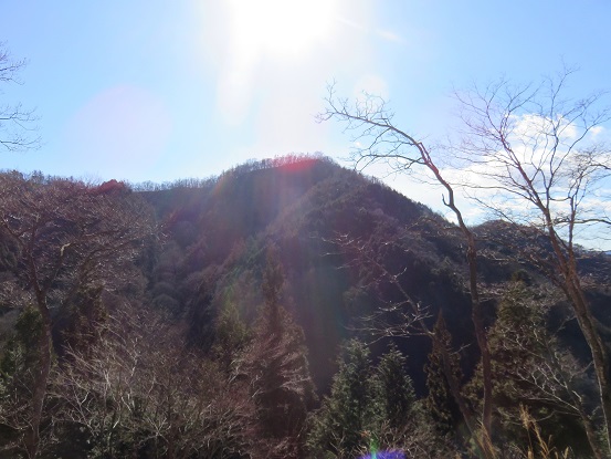 川苔山を振り返る