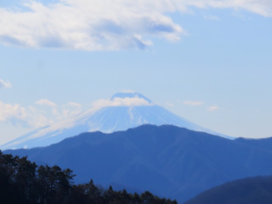 川苔山から富士山の眺望