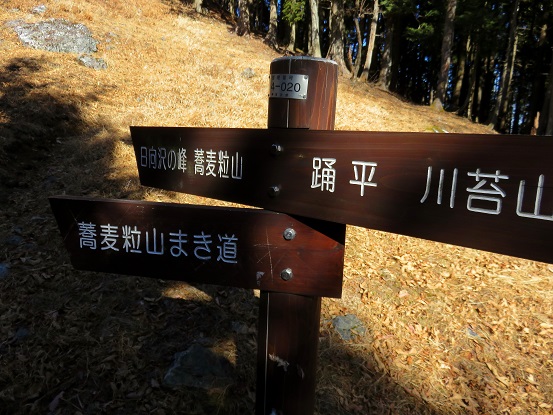 日向沢ノ峰・踊平分岐