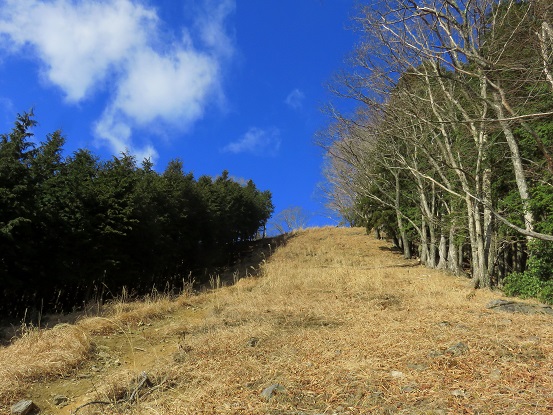 日向沢ノ峰までのルート急坂