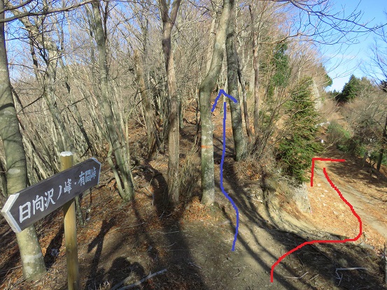 f:id:aohige0718:20180108171030j:plain 仁田山(標高1,211m)と有間峠分岐