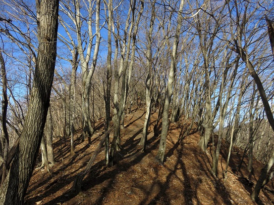 f:id:aohige0718:20180108171213j:plain 有間山登山道の様子