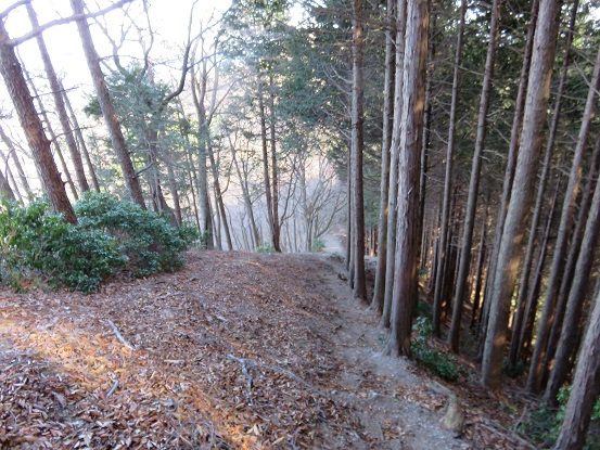 f:id:aohige0718:20180108171342j:plain 有間山から蕨山方面のルート