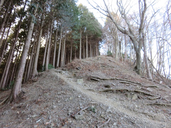 f:id:aohige0718:20180108171349j:plain 有間山から蕨山方面の斜面の様子