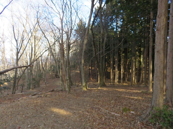 f:id:aohige0718:20180108171427j:plain 蕨山山頂まで広い尾根道