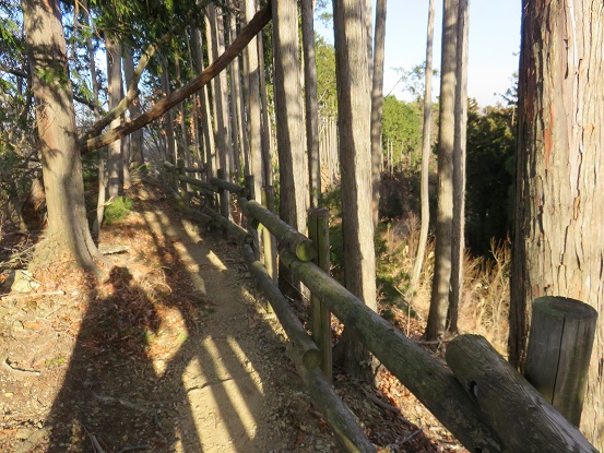 f:id:aohige0718:20180108171717j:plain 大ヨケノ頭からさわらびの湯登山道の様子