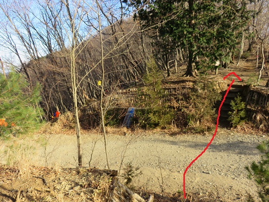 f:id:aohige0718:20180108171724j:plain 大ヨケノ頭からさわらびの湯までのコース上にある林道