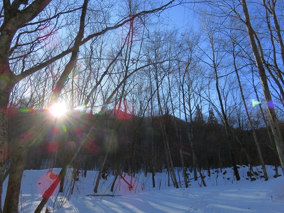 お天道様登山道