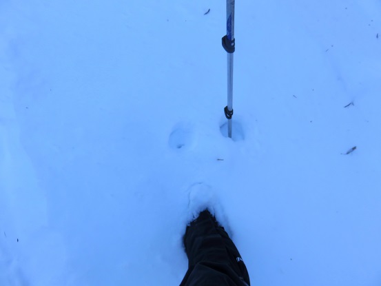 登山道足首より上の積雪