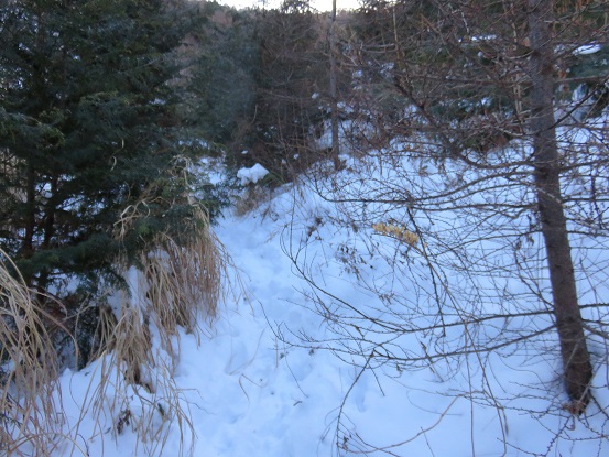 清八山・三ツ峠山登山口周辺