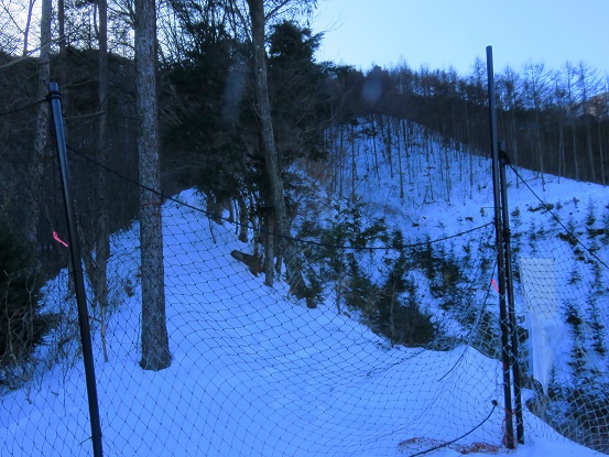 登山道に網が設置