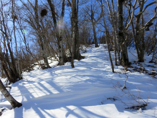 本社ヶ丸～清八山間は、ノートレース