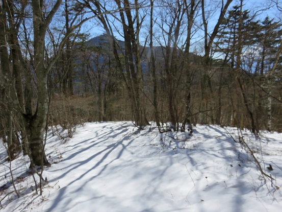 八幡山・茶臼山方面はノートレース