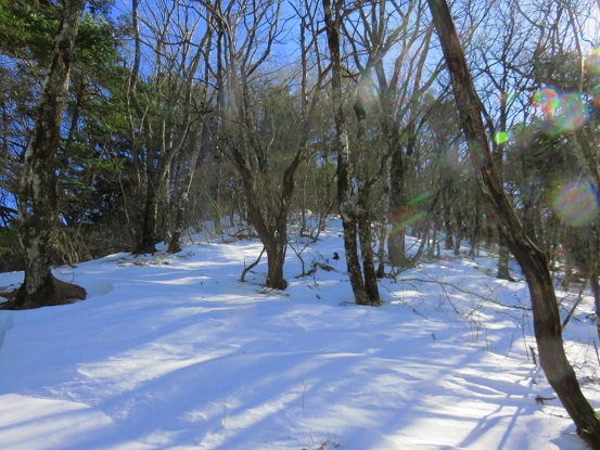 茶臼山からツボ足歩き