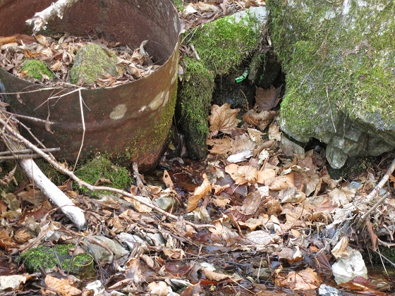 二瀬尾根造林小屋跡付近にある水場