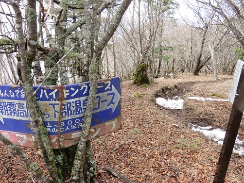 毛無山から天子山地金山