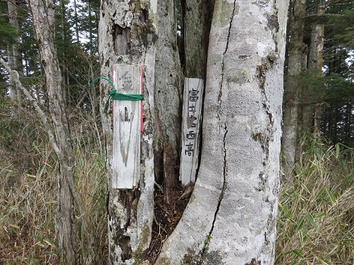 金山山頂
