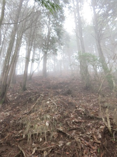 天子山地縦走熊森山道悪い