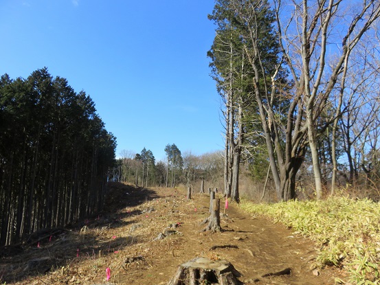 f:id:aohige0718:20180304175907j:plain 陣馬山を目指して登山開始