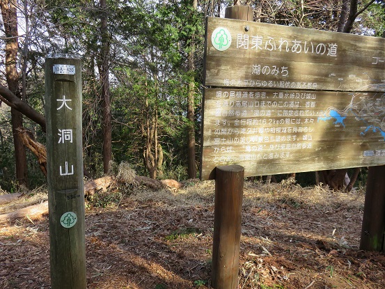 f:id:aohige0718:20180304180229j:plain 大洞山