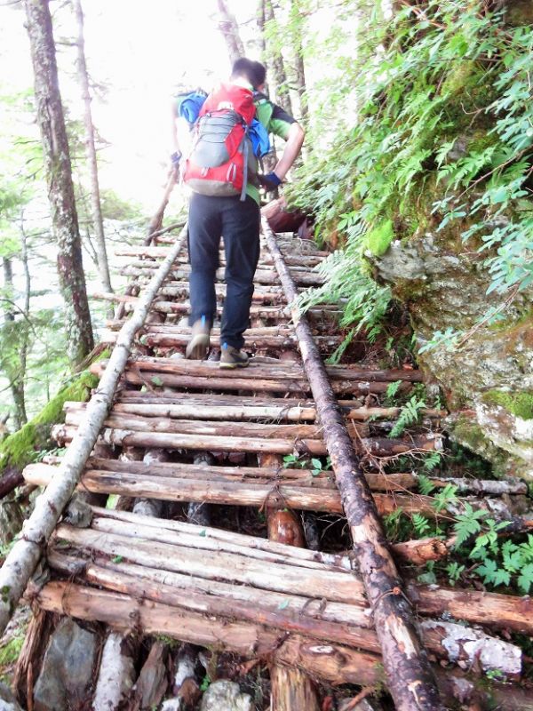 三伏峠小屋までの登山ルート詳細