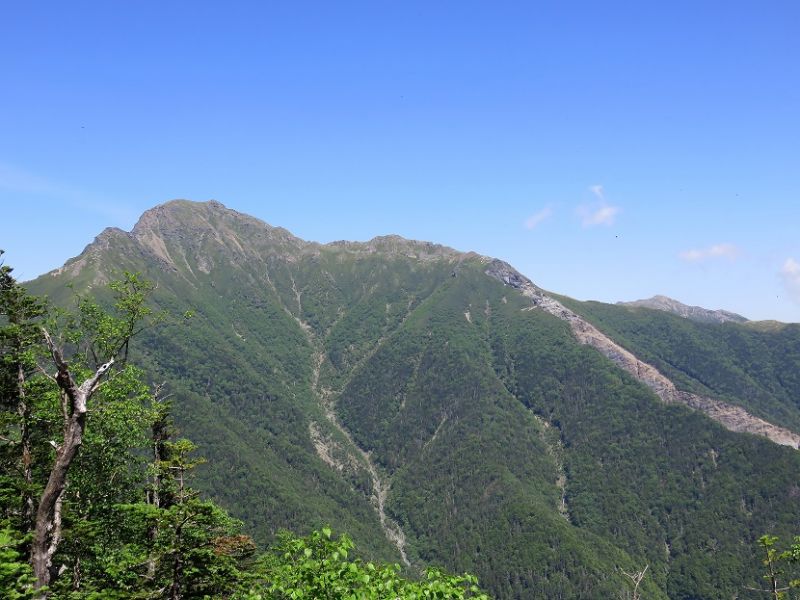 三伏峠小屋方面から見る塩見岳