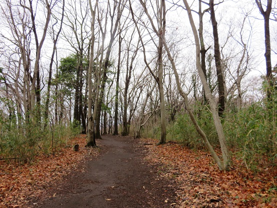 平坦な道が吾妻山から暫く