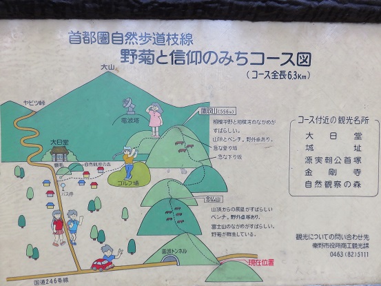 大山野菊と信仰のみちの詳細図