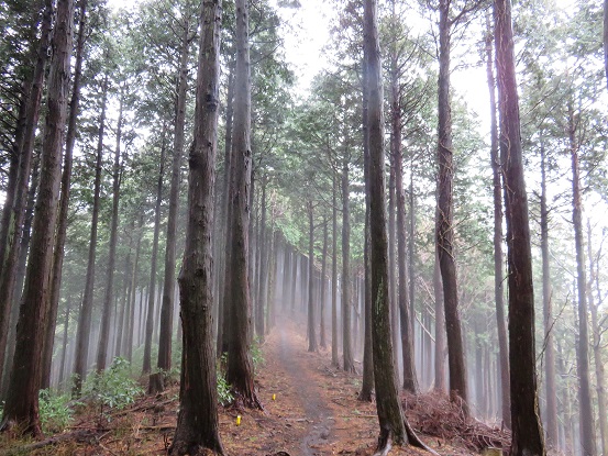 高取山幻想的な山歩き