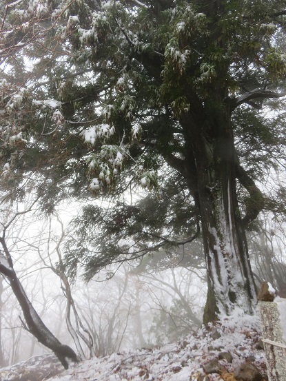 雪景色