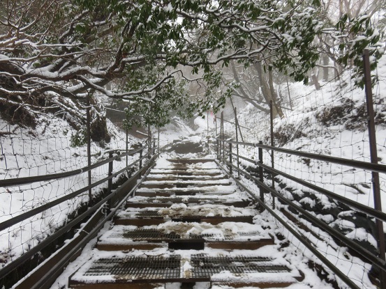 大山登山標高が上がるにつれて雪